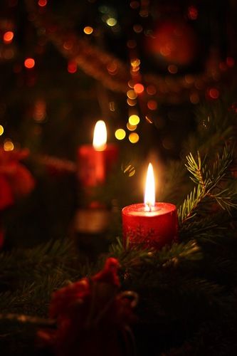 Candle Light Christmas, Christmas Panels, Yalda Night, Pagan Magick, Xmas Pics, Magic Candle, Winter Wallpapers, Winter Iphone, Candle Decoration