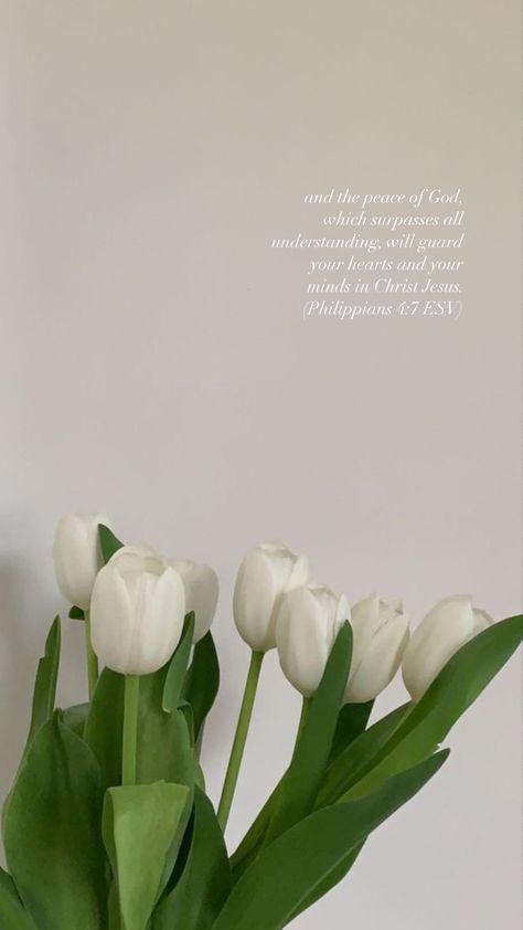 Tulips Wallpaper With Bible Verse, Bible Aesthetic Pictures, Tulips Wallpaper, Christian Iphone Wallpaper, Picture Templates, Bible Quotes Wallpaper, Gods Love Quotes, Iphone 1, Verses Wallpaper