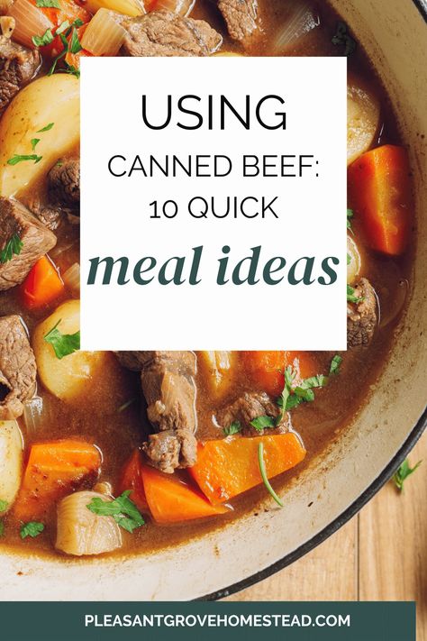 Beef Stew With Canned Beef, Canned Stew Meat Recipes, Canned Deer Meat Recipes Dinners, Roast Beef In A Can Recipes, Keystone Canned Beef Recipes, Recipes Using Canned Beef Chunks, Canned Roast Beef Recipes Meals, Recipes For Canned Roast Beef, Beef In A Can Recipes