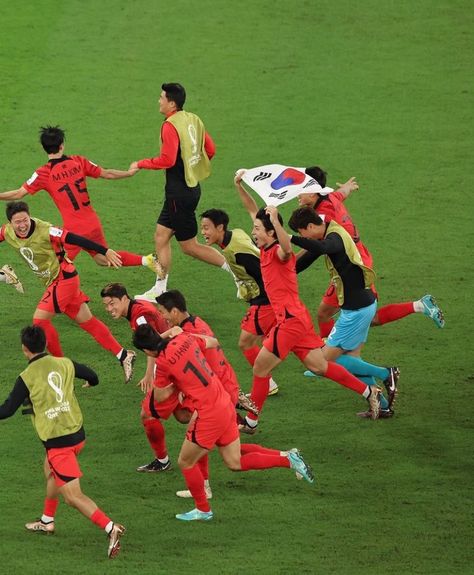 Korea World Cup, Korea Soccer, World Cup 2022, Soccer Team, Fifa World Cup, Football Soccer, Football Team, Qatar, Fifa