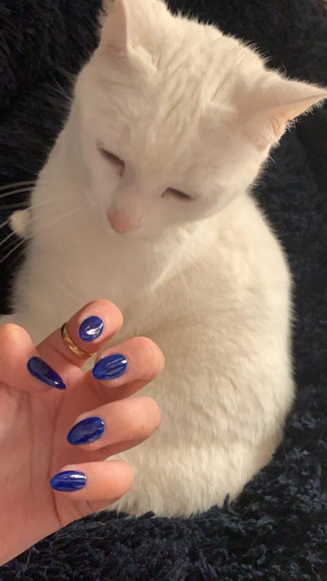 Blue Almond Acrylic, Blue Almond Acrylic Nails, Almond Acrylic, Almond Acrylic Nails, Nail Ring, Blue Nails, How To Do Nails, Art Designs, Nail Inspo