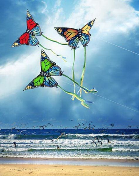 Amazon.com: Beach Sea Butterfly Kite Photography Backdrops Photo Props Studio Background 5x7ft: Office Products Butterfly Kite, Kite Designs, Go Fly A Kite, Kite Festival, Kite Flying, Studio Background, Kites, Arte Popular, Photography Backdrops