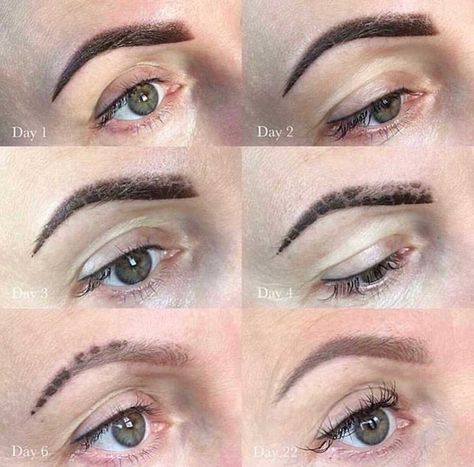 Powder Brows Healing Process, Microblading Healing Process, Cosmetic Tattoo Eyebrows, Tattoo Healing Process, Eyebrow Shading, Ombre Eyebrows, Permanente Make-up, Powder Brows, Brow Tattoo