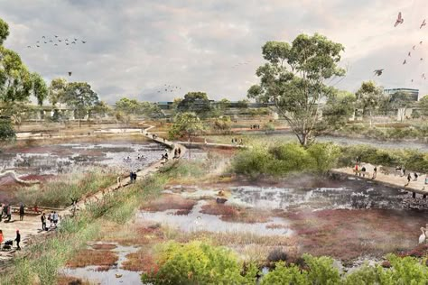 The City of Melbourne is currently seeking public feedback on a plan for Moonee Ponds Creek which aims to create new green public spaces and boost flood resilience. City Of Melbourne, Master Planning, Wetland Park, Urban Fabric, Water Management, Landscape Plans, Sainte Marie, S Design, Mgmt