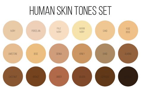 Mixed Skin Tone, Light Olive Skin Tone, Light Olive Skin, Beauty Vector, Skin Palette, Neutral Skin, Neutral Skin Tone, Table Chart, Color Table