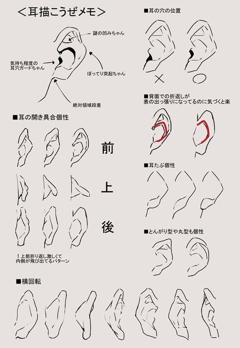 얼굴 드로잉, 얼굴 그리기, Manga Drawing Tutorials, Anatomy Sketches, Body Reference Drawing, Anatomy Drawing, Digital Painting Tutorials, Figure Drawing Reference, Anatomy Reference