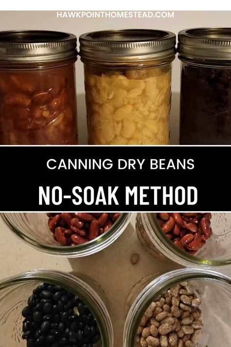 Canning Dry Beans, Canning Beans, Cleaning Oven, Canning Salt, Easy Canning, Pressure Canning Recipes, Canning 101, Home Canning Recipes, Canning Vegetables