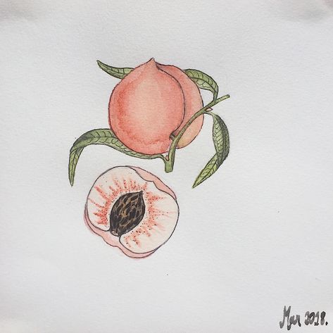 Apricot Tattoo, Apricot Drawing, Tattoo Journal, Peach Tattoo, Peachy Keen, Tattoos And Piercings, Atom, Apricot, Tatting