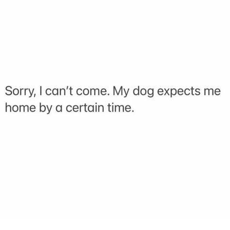 😏😂😍 It’s a dog mom thing Husky Mom Quotes, Dog Mom Quotes Humor, Dog Mom Aesthetic, Funny Dog Quotes, Dog Mom Quotes, Higher Vibration, Husky Mom, Funny Mom Quotes, Strong Quotes