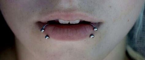 Ampallang Piercing, Snake Bite Piercing, Mouth Piercings, Lip Piercing Jewelry, Snakebites, Face Piercings, Cool Piercings, Facial Piercings, Cute Piercings