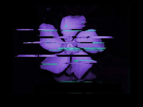 Glitch flower , black background , edit , PicsArt , wallpaper Cyberpunk Flower, Glitch Graphic, Flower Black Background, Background Edit, Texture Illustration, Geometric Flowers, Digital Texture, Flower Black, Geometric Flower