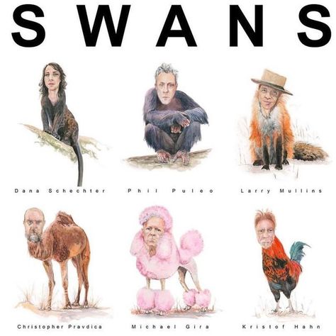 Swans Band, We Rock, Band Poster, Band Posters, Swans, Rock Bands, I Laughed, This Is Us, Band