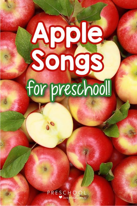 Apple songs for preschool are so fun for kids to sing, especially in the fall! They’re a perfect addition to a preschool apple theme and chances are, your kids already know quite a few of them. Songs About Apples For Preschoolers, Apple Tree Songs For Preschool, Fall Actives For Preschool, Apple Songs For Preschool Circle Time, Apple Songs Preschool, Preschool Apple Songs, Apple Rhymes Preschool, September Preschool Songs, Circle Time Apple Activities