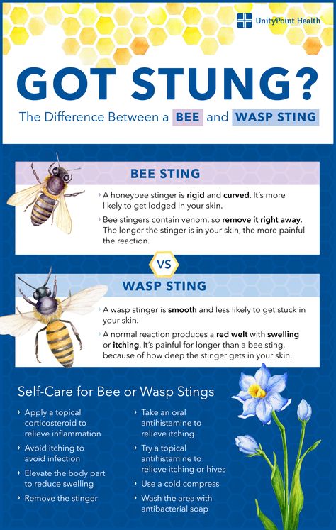 Bee and wasp stings have some stuff in common. Like, they're super painful. Here's how to know when the "ouch" is normal, or if you're actually having an allergic reaction.         Bee Sting, Bee Sting Remedy, Bee Sting Relief, Bee Sting Swelling Remedy, Wasp Sting, Wasp Sting Remedy, Wasp Sting Remedy Swelling, Wasps Sting Relief, Wasp Sting Swelling, Bee Allergy, Bee Sting Allergy What Helps Bee Stings, Wasp Sting Remedy Swelling, Wasp Stings Relief, Bee Sting Swelling, Bee Sting Remedy, Bee Sting Relief, Wasp Sting Remedy, Swelling Remedies, Wasp Sting