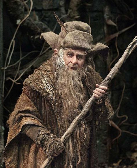 Radagast | The One Wiki to Rule Them All | Fandom Gethin Anthony, The Hobbit Characters, Radagast The Brown, Lotr Characters, Carroll Baker, Elven Queen, Sylvester Mccoy, Jean Dujardin, Gandalf The Grey