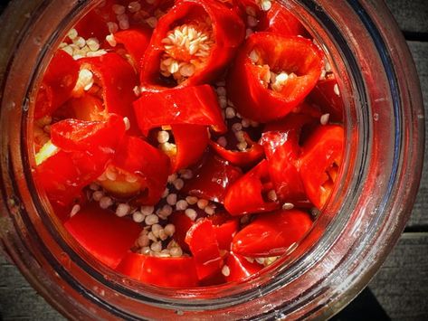 Fermented Bell Peppers, Fermented Red Peppers, Fermented Chili Sauce, Fermented Hot Honey, Fermented Chilli, Chili Honey, Fermented Honey, Chili Pepper Recipes, Pepper Recipes