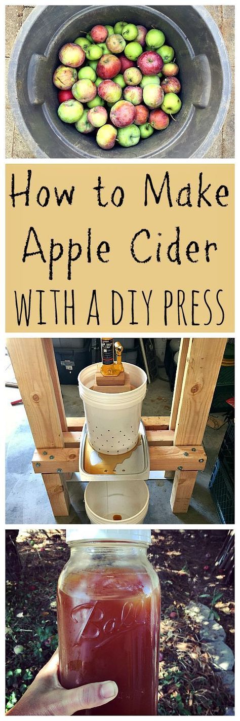 This is a great way to use up all those fallen apples from your tree! Makes the best juice ever, and you can even turn it into hard cider! Diy Cider, Hard Cider Recipe, Making Hard Cider, Apple Cider Press, Make Apple Cider, Homemade Cider, Making Apple Cider, Cider Press, Hard Apple Cider