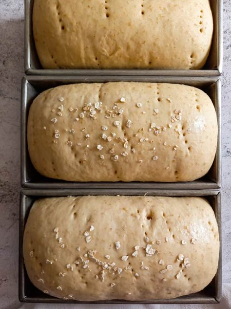 Oat Bread Recipe (Amish Oatmeal Bread with Honey) - Amish Heritage Amish Oatmeal Bread, Honey Oatmeal Sourdough Bread, Oatmeal Honey Bread, Iowagirleats Recipes, Amish Whole Wheat Bread Recipe, Amish Wheat Bread Recipe, Oat Flour Bread Recipe, Oatmeal Bread Recipes, Homemade Oat Bread