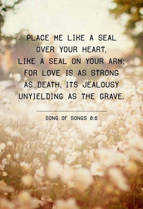 20 Of the Best Ideas for song Of solomon Love Quotes - Home Inspiration and Ideas | DIY Crafts | Quotes | Party Ideas A Seal, Song Of Solomon, How He Loves Us, The Perfect Guy, Verse Quotes, Safe Place, Bible Scriptures, The Words, Word Of God