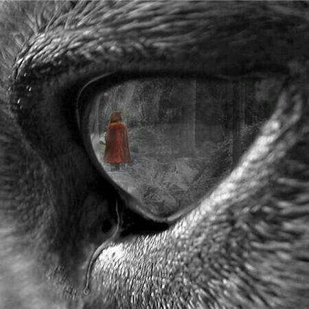 Little Red Riding Hood reflection in a Wolf's eye art Red Riding Hood Aesthetic, Wolf Cry, Lup Singuratic, Red Riding Hood Wolf, Red Riding Hood Art, The Big Bad Wolf, Wolf Love, Wolf Tattoos, Big Bad Wolf