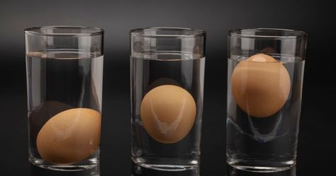 The Float Test: How to Tell If An Egg Has Gone Bad : The Hearty Soul Egg Good Or Bad, Fresh Egg Test, How To Tell If An Egg Is Still Good, How To Tell If Eggs Are Good, How To Tell If Eggs Are Still Good, Benefits Of Eating Eggs, Kitchen Elements, Bad Eggs, Egg Quality