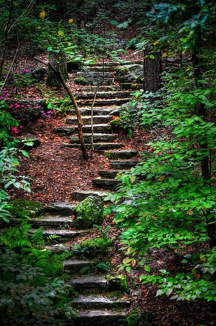 Astonishing Photos of Paths in the Forest. “True morality consists not in following the beaten track, but in finding the true path for ourselves, and fearlessly following it.” ― Mahatma Gandhi Hill Landscaping, Hillside Garden, Sloped Backyard, Stone Steps, Garden Stairs, Stone Stairs, Hillside Landscaping, Sloped Garden, Garden Steps