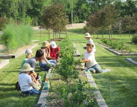 Farming Land, Community Farming, Agritourism Farm Design, Farming Architecture, Urban Farming Aesthetic, Community Garden Aesthetic, Vegetable Farm, Farming Family, Urban Farm