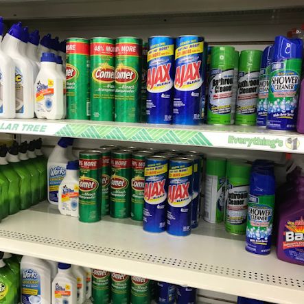 SHANETTA DIY LIFE: Dollar Tree Cleaning Products You Should Stop Overlooking Dollar Tree Cleaning Supplies, Dollar Tree Cleaning, Cleaning Must Haves, Clean Toilet Bowl, House Smell Good, Oven Cleaner, Disinfectant Spray, Diy Cleaning Hacks, Drain Cleaner