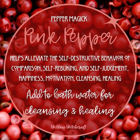 Pink Pepper Willow Witchcraft Cayenne Pepper Witchcraft Uses, Pepper Magical Properties, Pink Witchcraft, Witchy Plants, Plant Symbolism, Herb Magick, Magick Herbs, Herbs For Protection, Personal Philosophy