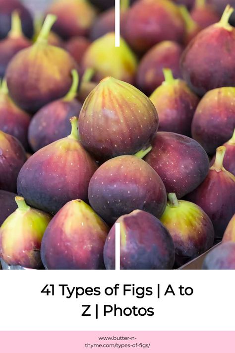 41 Types of Figs | A to Z | Photos Fig Varieties, Desert King, Fig Season, Black Mission Fig, Favorite Dessert Recipes, Fresh Figs, Food Favorites, Bountiful Harvest, Sharing Board