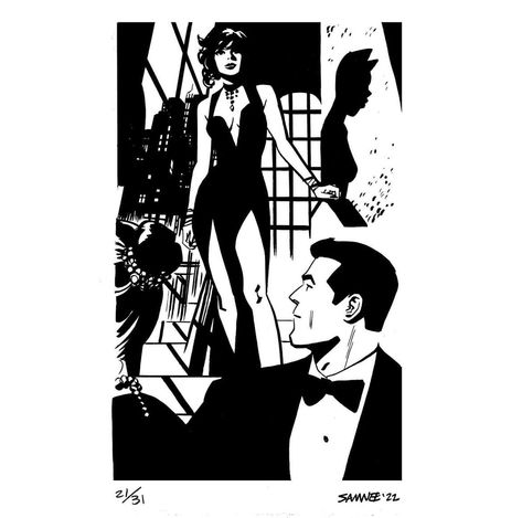 Chris Samnee, Batman And Catwoman, Batman Comics, Environment Concept Art, Comic Styles, Comic Artist, Catwoman, Ink Art, Artist Art