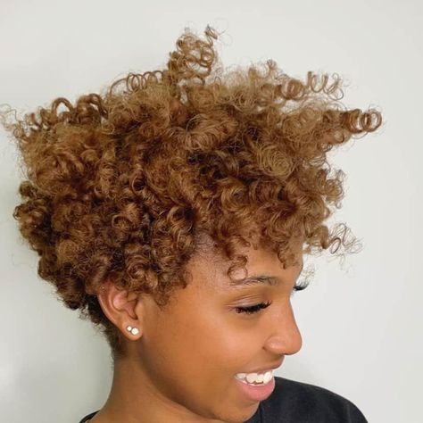 30 Trendy Hair Color Ideas For Black Women Hair Color For Afro Hair, Caramel Short Hair Color, Bronze Highlights On Black Hair, Short Colored Natural Hair Black Women, Twa Hair Color Ideas, Hair Color Rinse Black Women, Color For Curly Hair Natural Curls, Blond Natural Hair Black Women, Color On Natural Hair Black Women