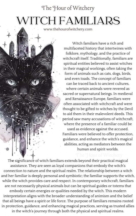 Familiars Witchcraft, Familiars Witch Animal, Animal Omens, Witches Journal, Witchcraft Knowledge, Witch Familiar, Autumn Lifestyle, Goddess Rising, Witch's Familiar