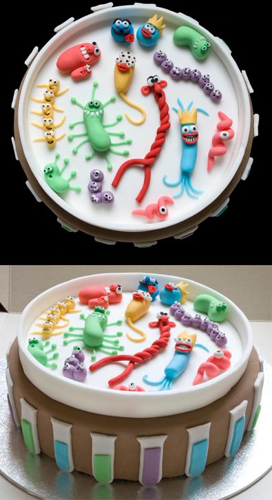 Um…no cake for me, thanks. Cake designed by Alison Reed (http://www.reedscakes.com/). Biology Birthday Cakes, Biology Cake Ideas, Science Themed Cake, Microbiology Cake, Biology Cake, Science Birthday Cake, Chemistry Cake, Cell Cake, Teachers Day Cake