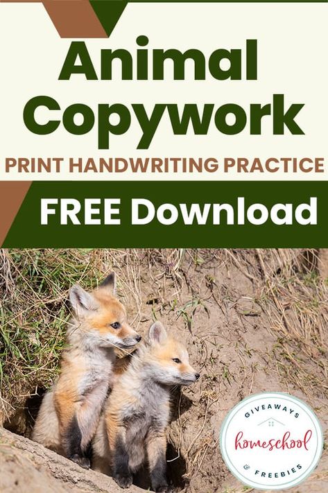 Poems About Animals, Handwriting Practice Free, Free Copywork, Fun Poems, Capital Cursive, Animal Poems, Teaching Freebies, Writing Printables, Cursive Practice