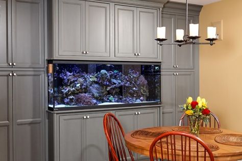 Kitchen Photos Fish Tanks Design, Pictures, Remodel, Decor and Ideas Contemporary Family Rooms, Fish Tank Cabinets, Traditional Home Offices, Mediterranean Living Rooms, Round Wooden Dining Table, Fish Tank Design, Tv Built In, Aquarium Stand, Dining Room Contemporary