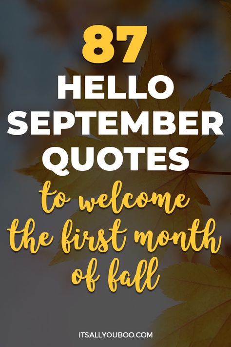 Ready to welcome September? Looking for the perfect way to kick off autumn? Click here for 87 inspiring September quotes to celebrate the transition from summer to fall. From back-to-school excitement to the beauty of changing leaves, these quotes capture the essence of September. Embrace the new beginnings, reflect on the year, and find joy in every moment this month brings. Hello Fall Quotes, Hello September Quotes, September Aesthetic, Reflect On The Year, September Quotes, August Quotes, Inspirational Quotes Short, Welcome September, Back To School Quotes