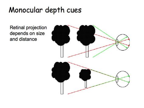 Monocular Cues: Relative size Visual Processing, Depth Perception, Vision Therapy, Dimensional Shapes, Lecture Notes, Visual System, Low Vision, Lectures Notes, One Eye