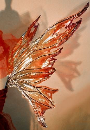 Orange Fairy Costume, Fae Forest, Fairy Wings Aesthetic, Bloom Aesthetic, Faerie Aesthetic, Fire Costume, Winx Club Bloom, Dragon Flame, Male Fairy