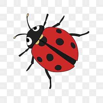 Ladybug Graphic, Ladybug Clipart, Insect Cartoon, Cartoon Ladybug, Red Insects, Ladybug Cartoon, Insect Clipart, Red Clipart, Animated Clipart