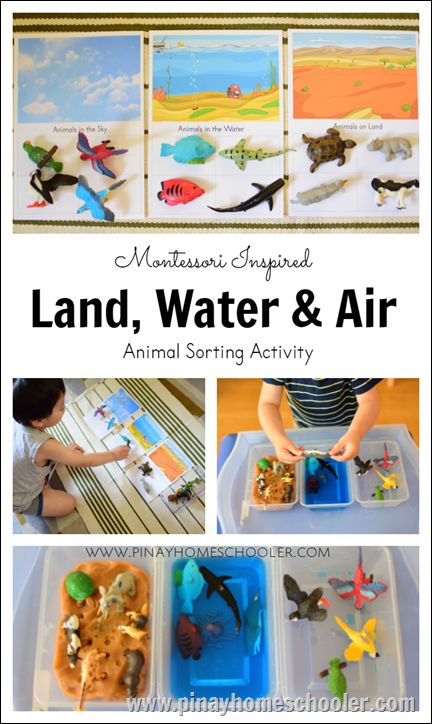 Introducing Toddlers to Animals in Land, Water and Air | The Pinay Homeschooler Animal Sorting, Montessori Science, Montessori Geography, Diy Montessori, Montessori Lessons, Montessori Practical Life, Montessori Toddler Activities, Montessori Preschool, Montessori Education