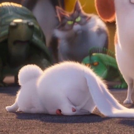 Bunny Pets Movie, Snowball Rabbit Cute Hd, Cute Animal Animation, Rabbit Meme, Snowball Rabbit, Animated Rabbit, Bunny Movie, Bull Tattoos, Cute Bunny Cartoon