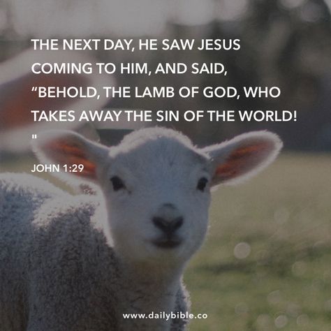 John 1 29, Lamb Of God, Spiritual Living, Devotional Quotes, Faith In Love, Bible Quotes Prayer, Jesus Is Lord, Spiritual Inspiration, Christian Inspiration