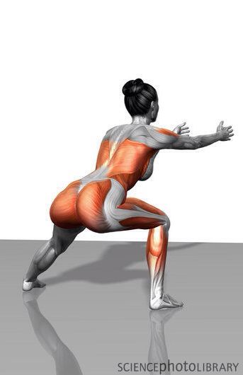 Anatomy of lateral lunges rear view. A great Glute workout to isolate the glutes from the quads. Lunge Workout, Modele Fitness, Lateral Lunges, Yoga Anatomy, 30 Day Fitness, 30 Day Workout Challenge, Body Fitness, Keep Fit, Work Outs