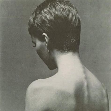 Mia Farrow revealing her ‘shocking’ pixie in 1966 Vogue story - photographed by Richard Avedon. #siboneibrand #cool #young #pretty Mia Farrow Pixie, 1960s Hairstyles, Graduated Bob Haircuts, Asymmetrical Bob Haircuts, Pixie Crop, Longer Pixie Haircut, Mia Farrow, Beautiful Portraits, Cute Short Haircuts