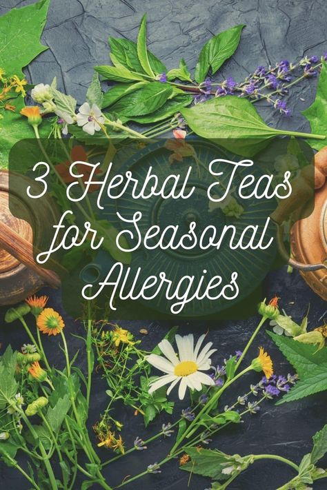 Spring and fall bring beautiful colors and foliage... and for some it also brings seasonal allergies. Herbal Tea For Allergies can be a potent natural remedy for the symptoms that come with more pollen in the air. #herbaltea #herbalremedies #seasonalallergyrelief #allergies Diy Allergy Relief, Tea For Allergies, Natural Allergy Relief Remedies, Herbs For Allergies, Seasonal Allergy Relief, Natural Allergy Relief, Seasonal Allergy Symptoms, Home Remedies For Allergies, Fall Allergies