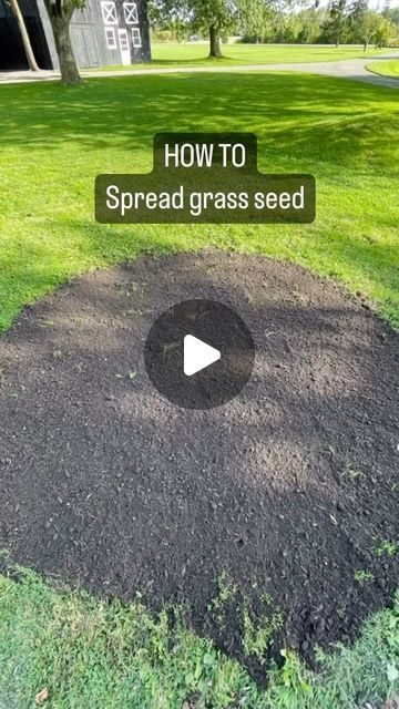 Stevensville Garden Gallery on Instagram: "How do you spread grass seed?? We get this question all the time!   Follow these easy steps and you’ll be on your way to a lush lawn in no time!  🌱 Prepare the spot with fresh soil  🌱 Pour a bag of Viva Lawn repair mix into your wheelbarrow  🌱 Add grass seed and mix!  🌱 Dump the mixture onto your prepared spot  🌱 Rake out evenly over your soil  🌱 Water with a sprinkler   #grassseed #grass #falllawnprep #lawnprep #howto #diy #gardening #falldiy #springgardening #yardprep #yardwork #vivalawn #lawnseeding #seedyourlawn #fertilizer #gardengallery #spring #marchgarden #springgarden #springlawnprep" How To Make Grass Seed Grow Fast, Grass Maintenance Lawn Care, How To Make Grass Grow, Over Seeding Lawn Spring, Growing Grass Tips, Best Way To Grow Grass Fast, How To Get Grass To Grow, How To Get Green Grass Lawn, How To Seed Grass Lawn