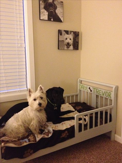 Turn a toddler bed into a dog bed! Dog Bed Toddler Bed, Crib Mattress Dog Bed, Dogs Room, Diy Toddler Bed, Dog Space, Diy Pet Bed, Mattress Dog Bed, Puppy Room, Baby Crib Mattress