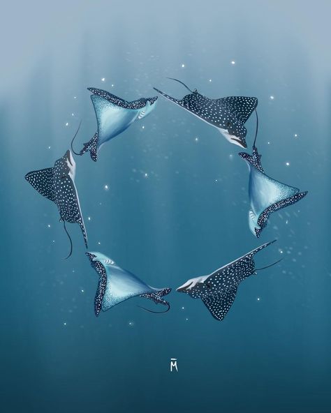 MON on Instagram: “All aboard the spotty eagle ray train 😅 I miss seeing these little rays 💙 . . . #illustration #art #illustrator #artist #diving…” Eagle Ray Drawing, Ray Drawing, Manta Ray Art, Ocean Patterns, Ocean Sleeve Tattoos, Ocean Sleeve, Underwater Drawing, Spotted Eagle Ray, Ombre Wallpaper Iphone