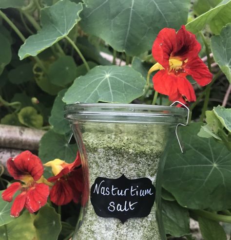 Nasturtium Salt, Nasturtium Recipes, October Weather, Edible Flowers Recipes, Potions Recipes, Tiny Tree, Foraging Recipes, Foraged Food, Herbal Recipes